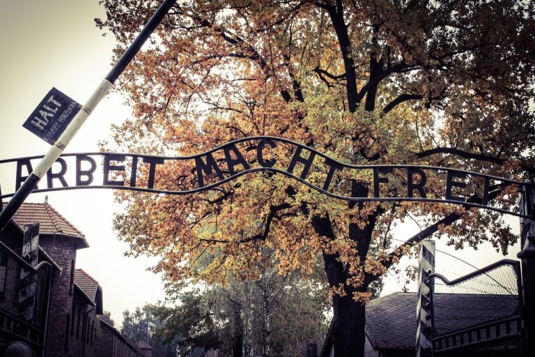 Wycieczka do Auschwitz-Birkenau: Pamięć i szacunek dla historii